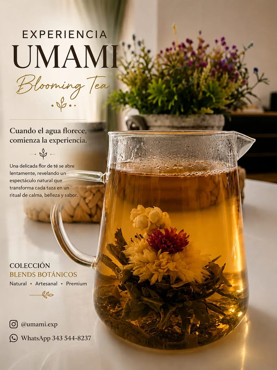 Blooming tea · té floreciente (foto 3)