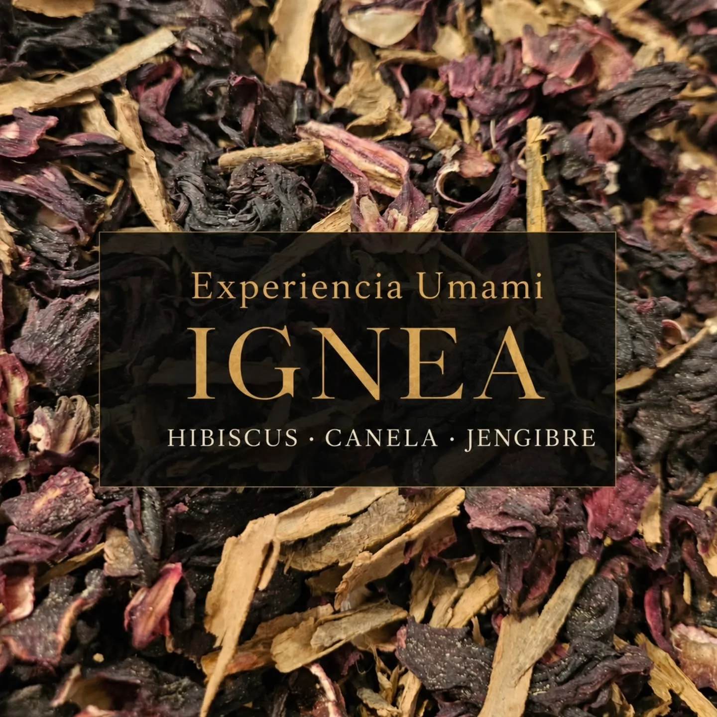 Ignea: primer plano del blend